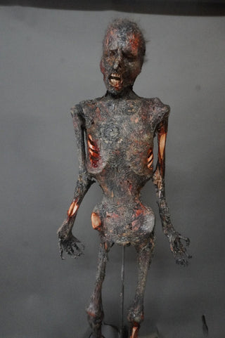 Burnt Kemmler Mummy