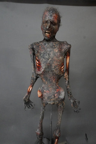 Burnt Kemmler Mummy