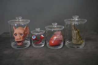 Oddity Animals Shatterproof Specimen Jar Combo