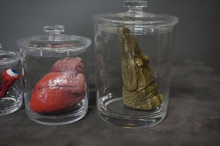 Oddity Animals Shatterproof Specimen Jar Combo