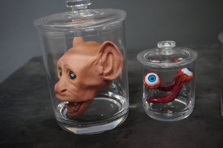 Oddity Animals Shatterproof Specimen Jar Combo