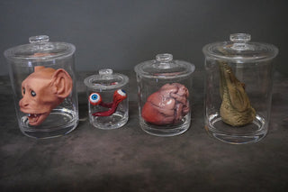 Oddity Animals Shatterproof Specimen Jar Combo