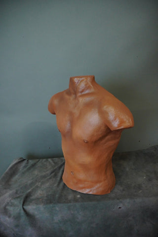 Jones Male Torso