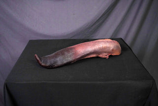 Hanging Beef Tongue Prop