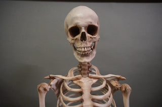 Crime Scene Skeleton
