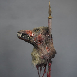 Rotting Coyote Head on a Spike