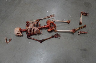 Dismembered Bloody Skeleton