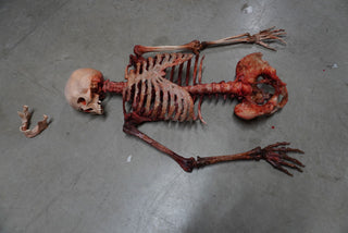 Dismembered Bloody Skeleton