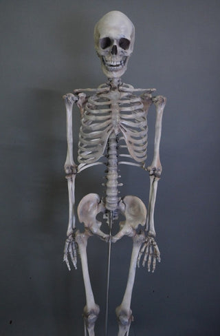 Crime Scene Skeleton