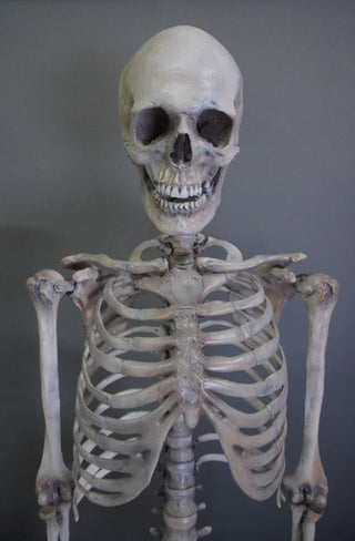 Crime Scene Skeleton