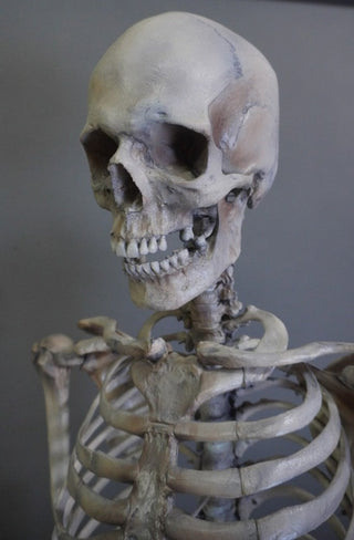 Crime Scene Skeleton