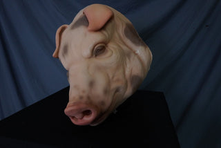 Fat Pig Head