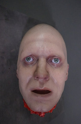 Henry Head