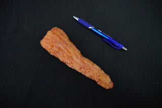 Silicone Pancreas Prop