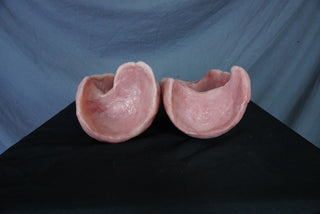 Silicone Lungs Pair