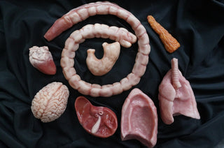 Silicone Organ Set