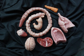 Silicone Organ Set