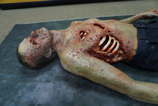 Maggot Infested Blister Alan Half Anatomical Dummy