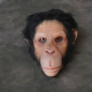 Chimp Head