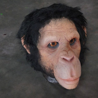 Chimp Head