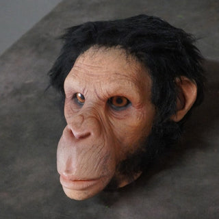 Chimp Head
