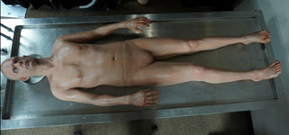 Frank Full Body