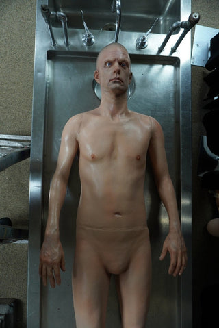 Frank Full Body