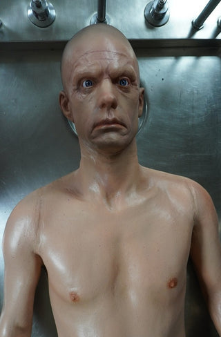 Frank Full Body