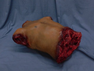 Jones Male Torso