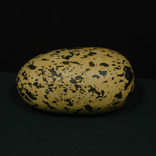 Giant 12 Inch Egg