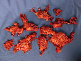 Silicone Brain Chunks Prop