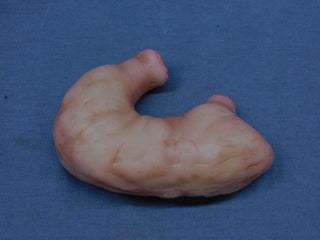 Silicone Stomach Prop