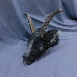 Furry Severed Goat Head