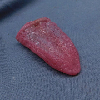 Special Effects Silicone Fake Severed Tongue