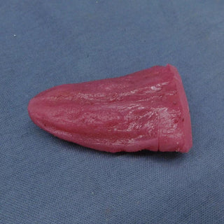 Silicone Thin Point Tongue