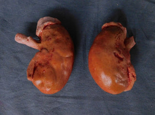 Prop Kidney Pair