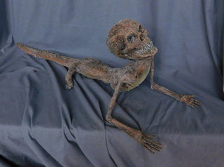 Alligator Boy Gaff