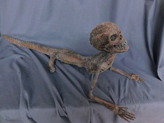 Alligator Boy Gaff