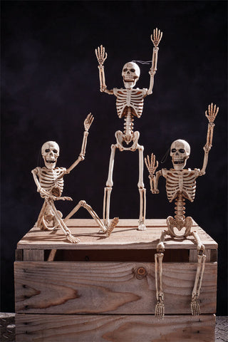 14 in Poseable Skeleton