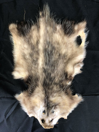 Opossum Pelt