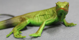 Small Iguana Replica