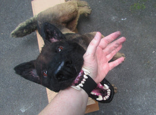 Belgian Rigged Dog Prop