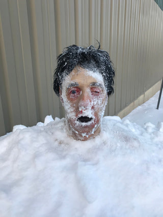 Frozen Gus Head
