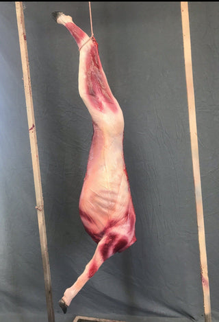 Skinned Goat Half