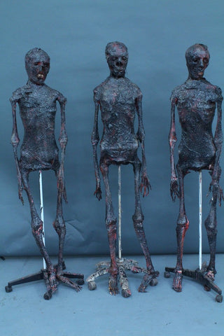 Burnt Skeleton Cadaver