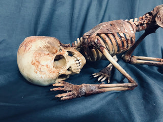 Skin and Bones Toddler Mummy
