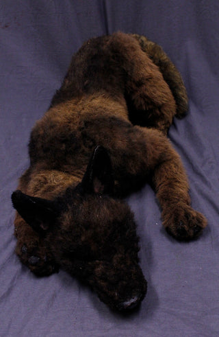 Belgian Rigged Dog Prop