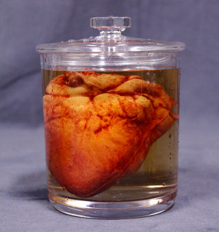 Small Lifelike Heart Apothecary Specimen Jar