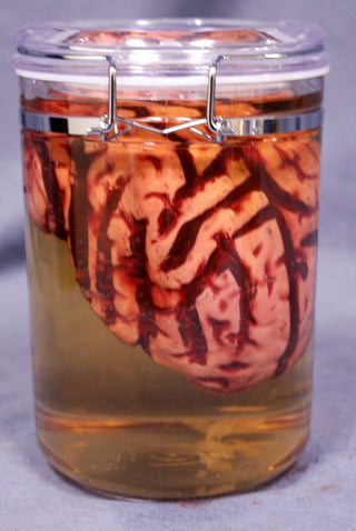 Brain Apothecary Specimen Jar
