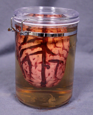 Brain Apothecary Specimen Jar